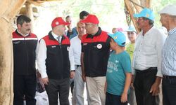 Elazığ İl Tarım Paylaştı: Baskil Kayısısında Hasat Bereketi Yaşanıyor