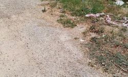 Bolvadin Asri Mezarlık ve Çevresinde Kapsamlı Temizlik Çalışması