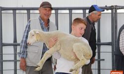 Bolvadin Canlı Hayvan Pazarı Her Perşembe Üreticileri Ağırlıyor