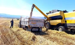 Başmakçı, Evciler ve Dinar'da Biçerdöverler Sahaya İndi