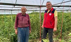 Çay İlçe Tarım ekipleri sahadaydı
