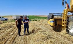 Afyonkarahisar'da Hububat Hasadı Sürüyor
