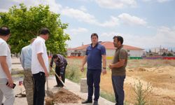 BOLVADİN’DE YEŞİL DOKU GÜÇLENİYOR