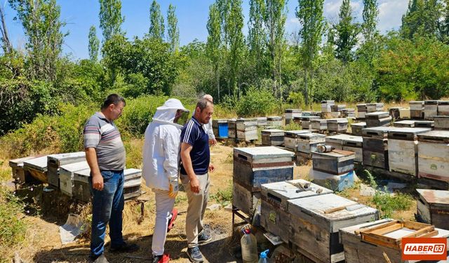 Afyonkarahisar'da Arılı Kovan Desteği Tespit ve Güncelleme İçin Teknik Ekipler Sahada