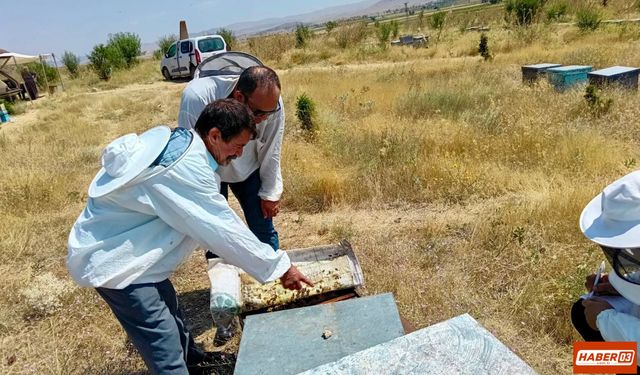 Afyon’da Arılı Kovan Tespit ve Kontrolleri Yapıldı