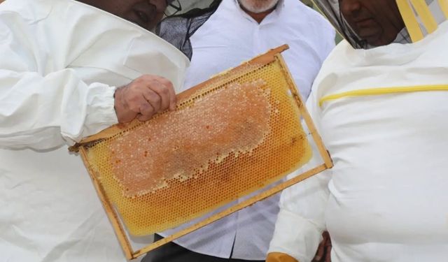 Arıcak Akdağ Bal Hasat Şenliği Gerçekleştirildi