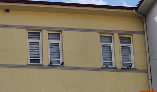 Dinar’da Sıcaklar Etkili Oldu: Güvercinler Serinlemek İçin Yurt Pencerelerine Dizildi