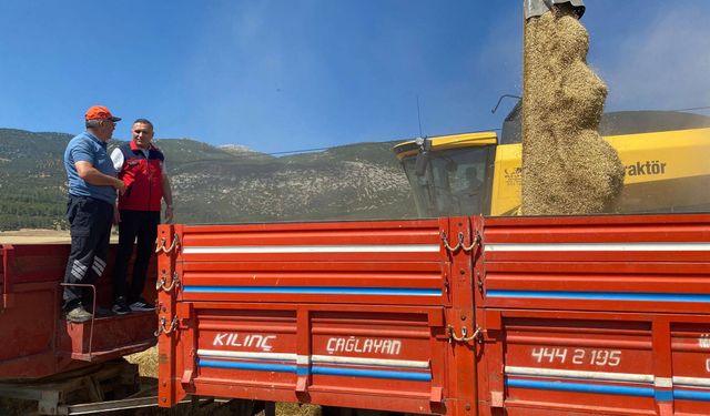 Dinar'da Hasat Zamanı! Dane Kaybını Önlemek İçin Biçerdöver Denetimleri Başladı