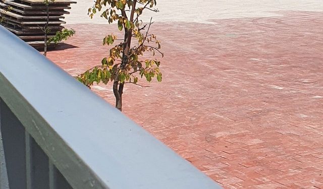 SUÇIKAN’IN ARKA TARAFINDA ÇEVRE DÜZENLEME ÇALIŞMALARI SÜRÜYOR
