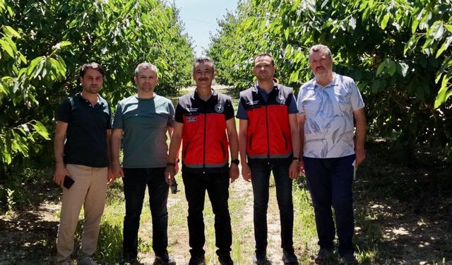 Tarımda Tecrübe Paylaşımı: Bursa ve Afyonkarahisar İl Tarım Müdürlüklerinden Ortak Mesai