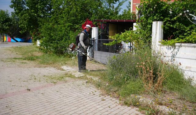 Ethem Kelekçi Mahallesi'nde Çevre Düzenleme ve Ot Biçme Çalışmaları Sürüyor