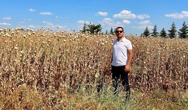 Afyon'da Çörek Otu ve Haşhaş Tarlalarında Kontroller Sürüyor