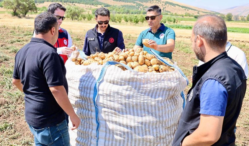Şuhut’ta Patates Hasadına Saha Ziyareti