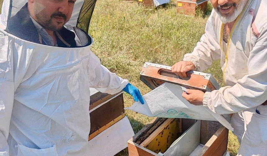 Şuhut’ta Arılı Kovanlara Yönelik Kontrol ve Kayıt Güncelleme Çalışması