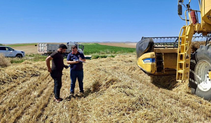 Afyonkarahisar'da Hububat Hasadı Sürüyor
