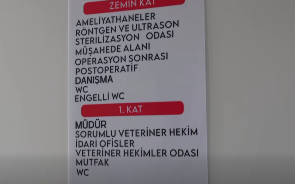 Ekran Görüntüsü 2026 07 11 160018