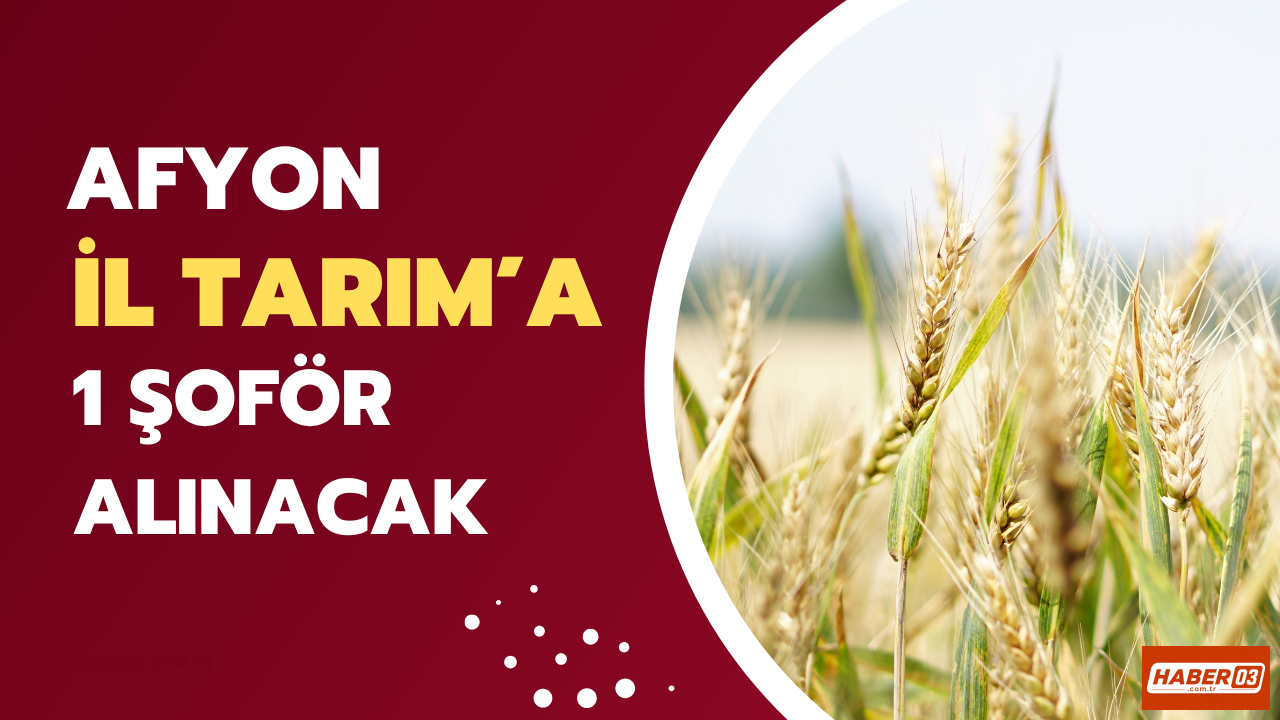 Afyon İl Tarım ve Orman Müdürlüğüne 1 Şoför Alınacak