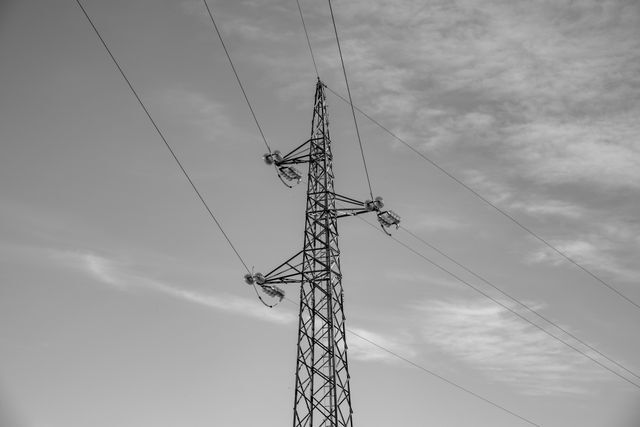 Pexels Vladimirsrajber 22032270 (1)