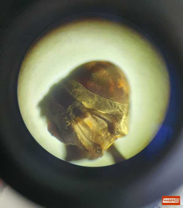 Screenshot 11-1