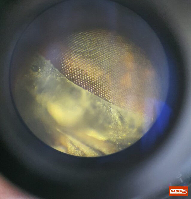 Screenshot 9-2